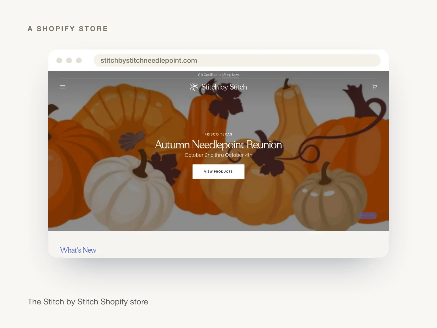 The Stitch by Stitch Shopify store
